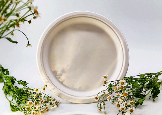 泰國(guó)工廠大量現(xiàn)貨供應(yīng)：紙漿模塑餐具; 10寸圓盤(pán)